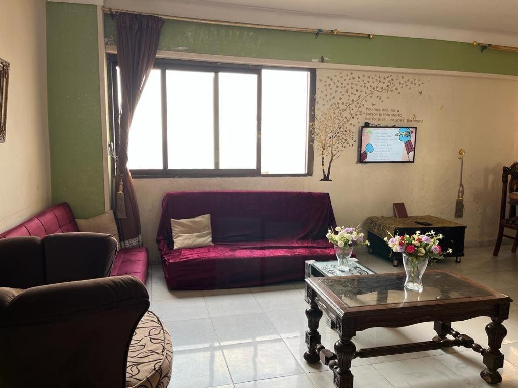 Sea View Flat For Family Only In Miami * Alexandria