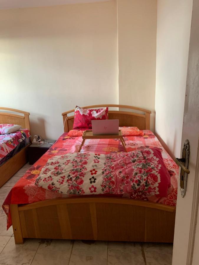 Apartment Sea View Flat For Family Only In Miami Alexandria