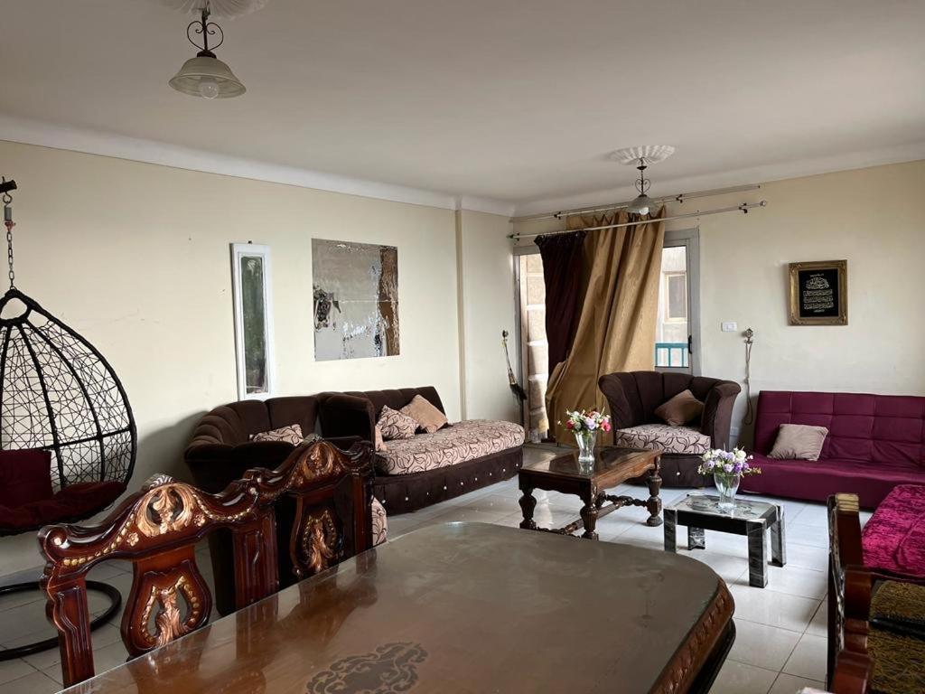 Sea View Flat For Family Only In Miami Alexandria